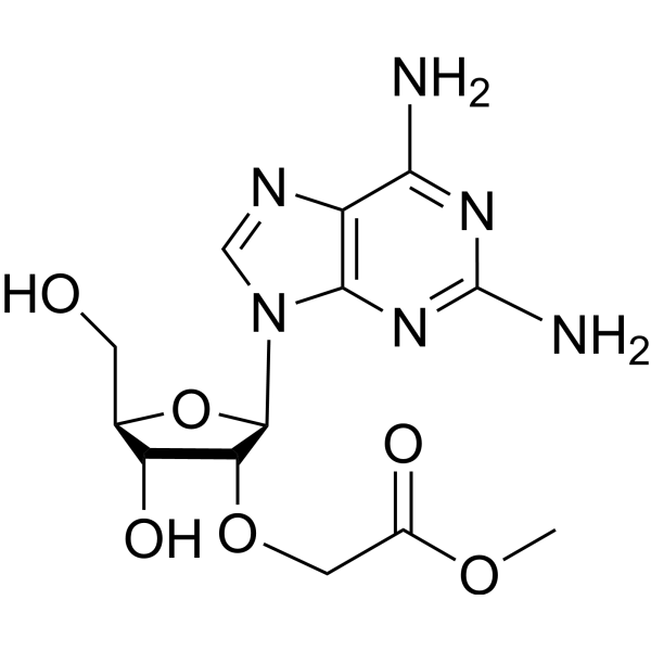 2-Amino-2′-O-(2-methoxy-2-oxoethyl)adenosine 433288-71-2